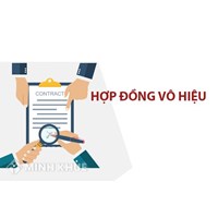Ví dụ về các trường hợp hợp đồng vô hiệu từng phần, toàn bộ?