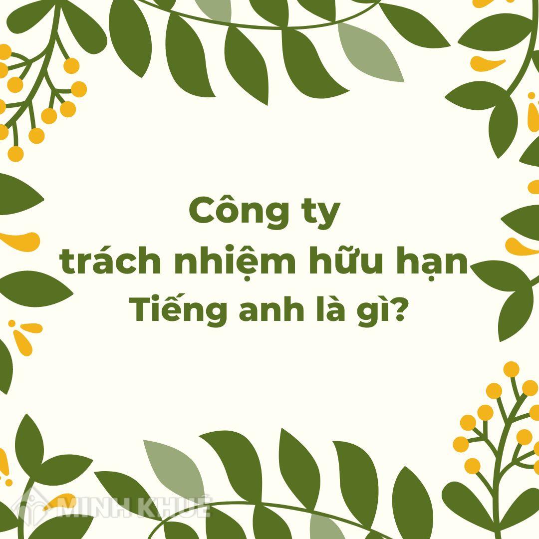 Công ty Trách nhiệm hữu hạn Tiếng anh là gì? Ví dụ Công ty TNHH