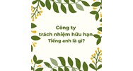 Công ty Trách nhiệm hữu hạn Tiếng anh là gì? Ví dụ Công ty TNHH