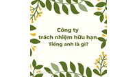 Công ty Trách nhiệm hữu hạn Tiếng anh là gì? Ví dụ Công ty TNHH