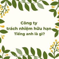 Công ty Trách nhiệm hữu hạn Tiếng anh là gì? Ví dụ Công ty TNHH