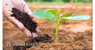 Vì sao đất giữ được nước và chất dinh dưỡng?