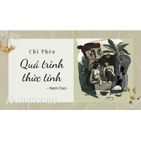 Phân tích quá trình thức tỉnh của Chí Phèo chọn lọc hay nhất