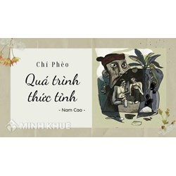 Phân tích quá trình thức tỉnh của Chí Phèo chọn lọc hay nhất