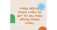 Hợp đồng theo mẫu là gì? Ví dụ hợp đồng theo mẫu