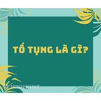 Tố tụng là gì? Có mấy loại tố tụng theo pháp luật Việt Nam?