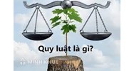 Quy luật là gì? Đặc điểm của quy luật? Lấy ví dụ về quy luật