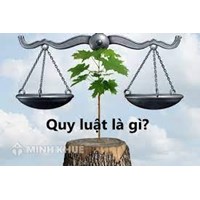 Quy luật là gì? Đặc điểm của quy luật? Lấy ví dụ về quy luật