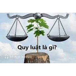 Quy luật là gì? Đặc điểm của quy luật? Lấy ví dụ về quy luật