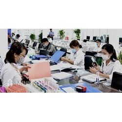 Viên chức hạng 3 là gì? Tiêu chuẩn viên chức hạng III