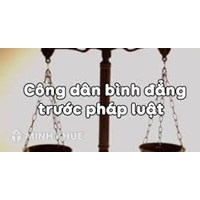 Công dân bình đẳng về trách nhiệm pháp lý là gì? Cho ví dụ GDCD 12