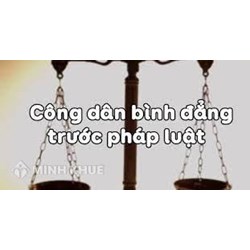 Công dân bình đẳng về trách nhiệm pháp lý là gì? Cho ví dụ GDCD 12