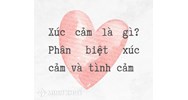 Xúc cảm là gì? Lấy ví dụ, so sánh xúc cảm và tình cảm?