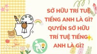 Sở hữu trí tuệ tiếng Anh là gì? Quyền sở hữu trí tuệ tiếng Anh là gì?