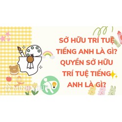 Sở hữu trí tuệ tiếng Anh là gì? Quyền sở hữu trí tuệ tiếng Anh là gì?