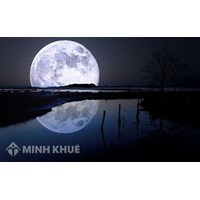 Phát biểu cảm nghĩ về bài thơ Rằm tháng Giêng chọn lọc hay nhất