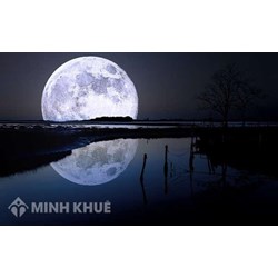 Phát biểu cảm nghĩ về bài thơ Rằm tháng Giêng chọn lọc hay nhất