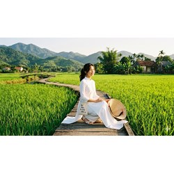 Thuyết minh về chiếc nón lá chọn lọc hay nhất