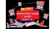 Đơn vị trực thuộc là gì? Quy định về đơn vị thuộc và trực thuộc