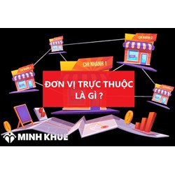 Đơn vị trực thuộc là gì? Quy định về đơn vị thuộc và trực thuộc