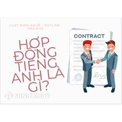 Hợp đồng tiếng Anh là gì? Các thuật ngữ tiếng anh về hợp đồng