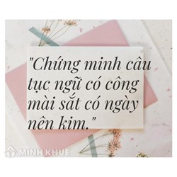 Chứng minh câu tục ngữ Có công mài sắt có ngày nên kim hay nhất
