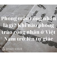 Phong trào công nhân là gì? Khi nào phong trào công nhân Việt Nam hoàn toàn trở thành một phong trào tự giác?