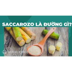 Saccarozo là đường gì? Công thức cấu tạo, ứng dụng và bài tập về saccarozo