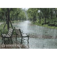 Tả cơn mưa chọn lọc hay nhất lớp 5