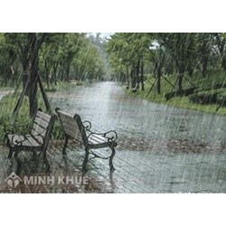 Tả cơn mưa chọn lọc hay nhất lớp 5