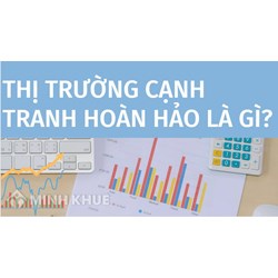 Thị trường cạnh tranh hoàn hảo là gì? Lấy Ví dụ và phân tích đặc điểm