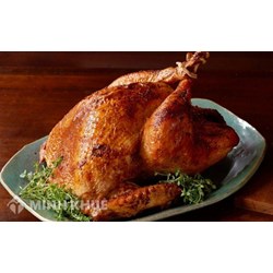 Lễ tạ ơn (Thanksgiving) là gì? Lịch sử, ý nghĩa và các món ăn truyền thống trong ngày này