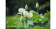 Viết đoạn văn ghi lại cảm xúc về một bài thơ có yếu tố tự sự và miêu tả chọn lọc hay nhất