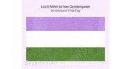 Phi nhị nguyên giới (Non binary) là gì? Phân biệt Non binary, Non-conforming và Genderqueer