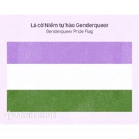 Phi nhị nguyên giới (Non binary) là gì? Phân biệt Non binary, Non-conforming và Genderqueer