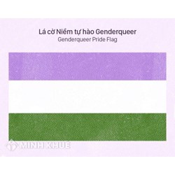 Phi nhị nguyên giới (Non binary) là gì? Phân biệt Non binary, Non-conforming và Genderqueer
