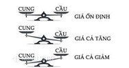 Cung cầu là gì? Ví dụ và Tác dụng của quy luật cung cầu