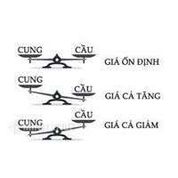 Cung cầu là gì? Ví dụ và Tác dụng của quy luật cung cầu