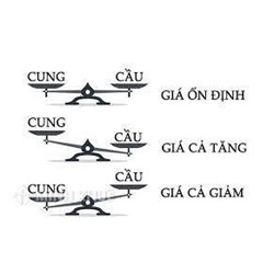 Cung cầu là gì? Ví dụ và Tác dụng của quy luật cung cầu