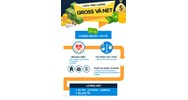 Lương gross là gì? Cách tính và những lưu ý khi nhận lương gross?