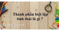 Thành phần tình thái là gì? Ví dụ, tác dụng thành phần tình thái?