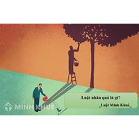 Luật nhân quả là gì? Những câu nói hay về luật nhân quả trong cuộc sống