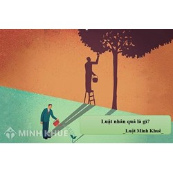 Luật nhân quả là gì? Những câu nói hay về luật nhân quả trong cuộc sống