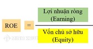 ROE là gì? Công thức tính chỉ số ROE trên báo cáo tài chính