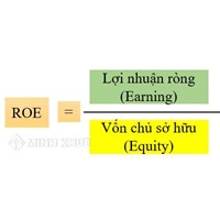 ROE là gì? Công thức tính chỉ số ROE trên báo cáo tài chính