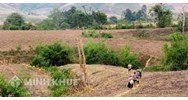Đất khai hoang là gì? Đất khai hoang có được cấp sổ đỏ hoặc đền bù hay không?