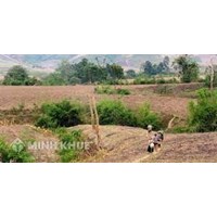 Đất khai hoang là gì? Đất khai hoang có được cấp sổ đỏ hoặc đền bù hay không?