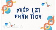 Lai phân tích là gì? Mục đích của phép lai phân tích nhằm xác định?