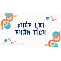 Lai phân tích là gì? Mục đích của phép lai phân tích nhằm xác định?