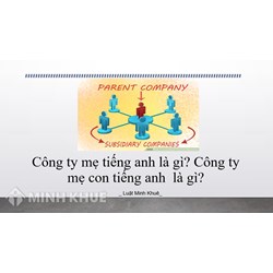 Công ty Mẹ tiếng anh là gì? Công ty Mẹ Con tiếng Anh là gì?